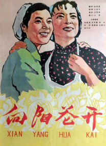 一进一出好爽视频